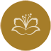 decorative icon