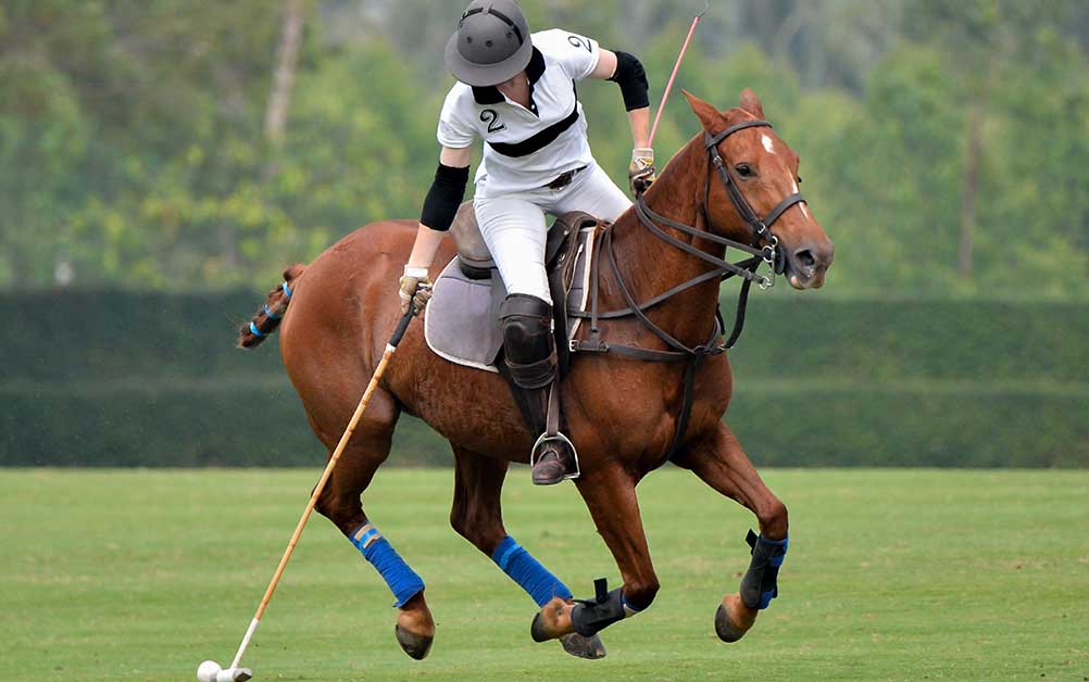 Polo player with mallet in hand on top of brown horse