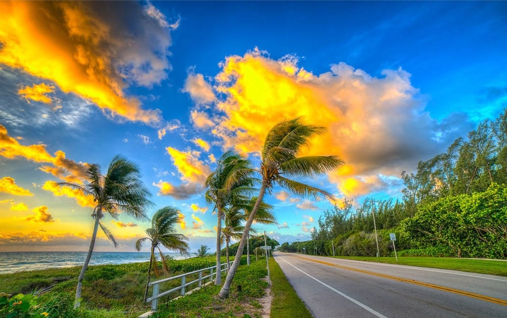 Palm Trees and beach along serene roadway in Boca Raton