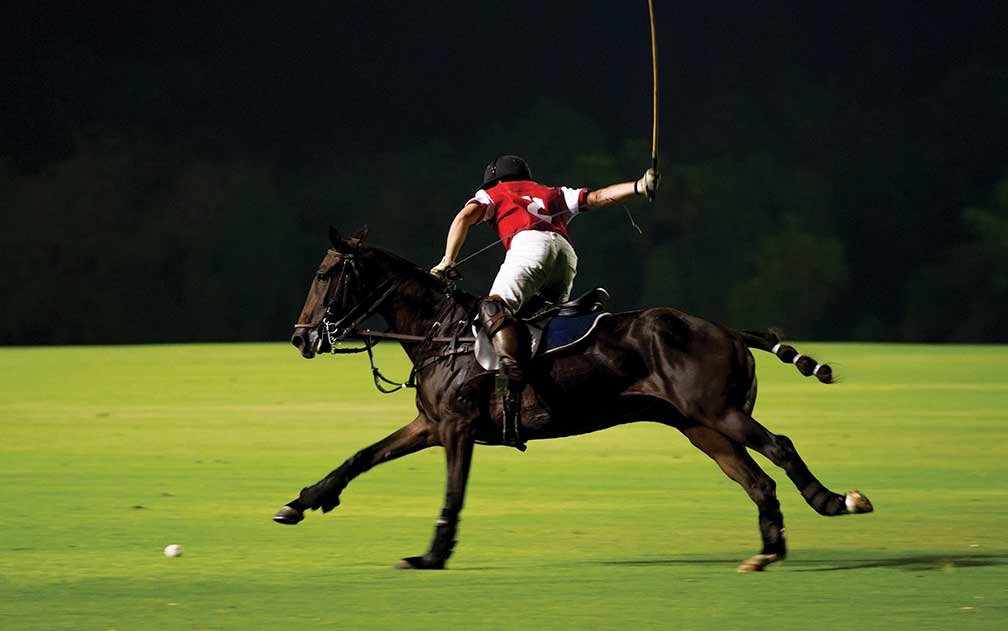 Horse and polo player with mallet