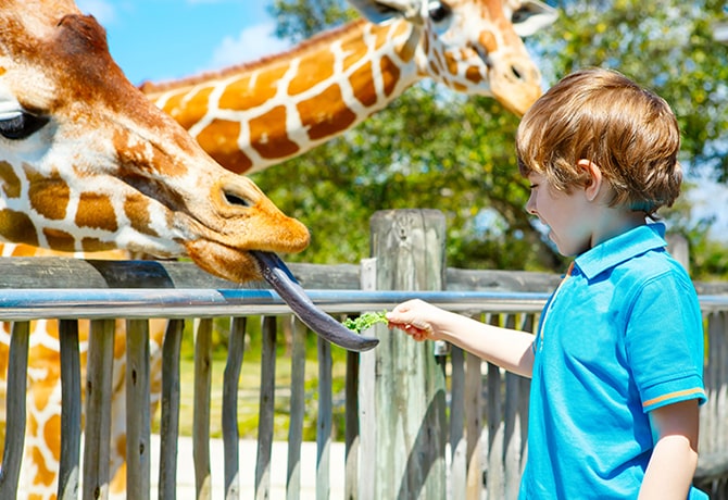 South Florida Zoo