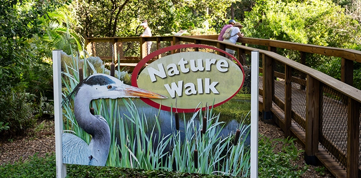 Nature walk sign along boardwalk surrounded by greenery