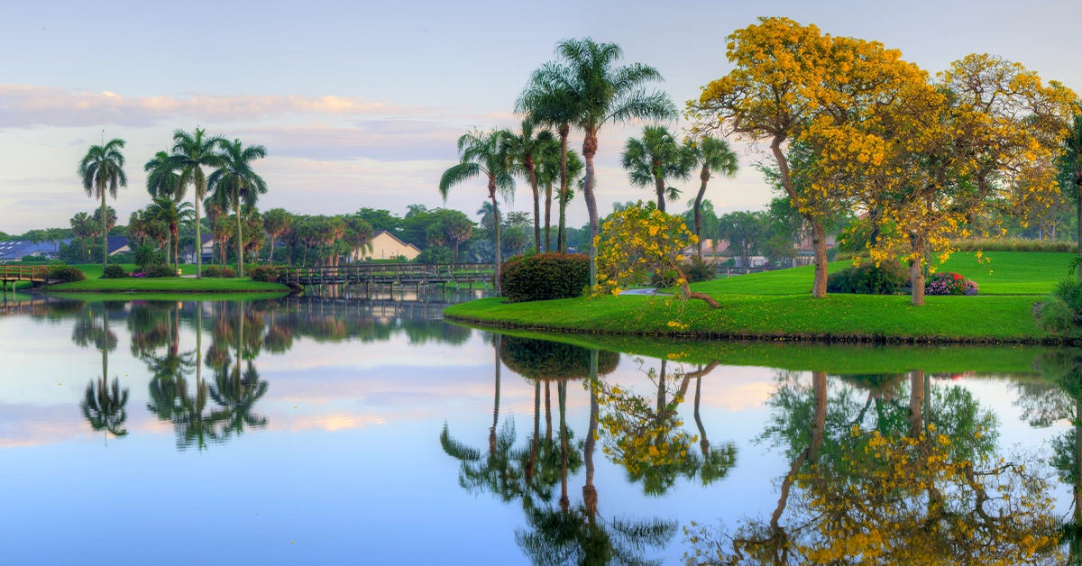 Palm trees and a flowering tree reflected in a calm lake.