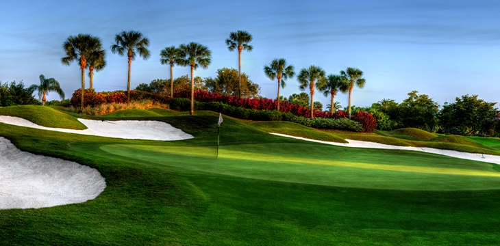 Golf green surrounded by sand bunkers and palm trees.