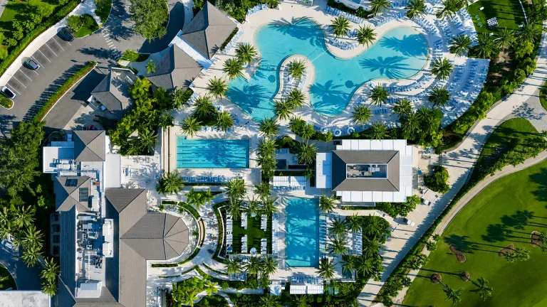 Bird's-eye view of a large free-form swimming pool surrounded by palm trees and lounge chairs.